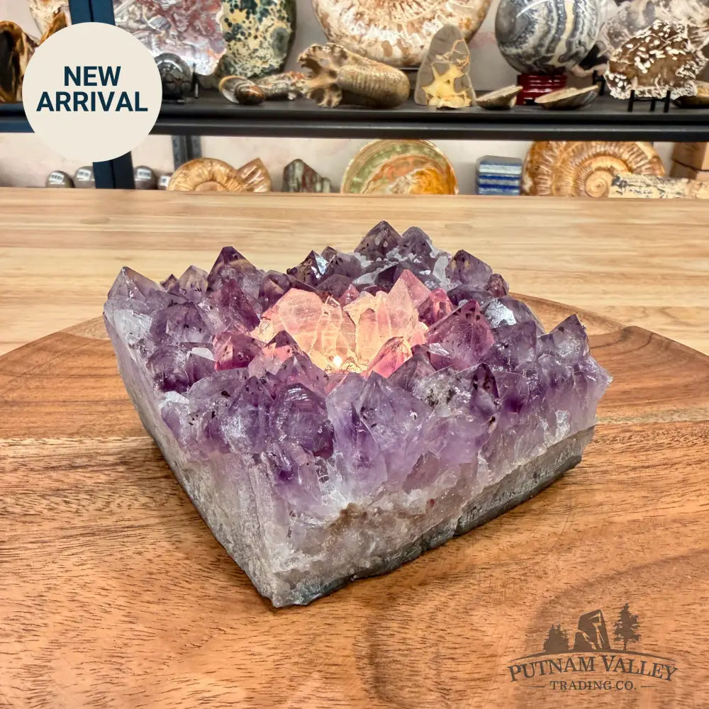 Brazilian Amethyst Candle Holder 4.15’’ - Candle Holder