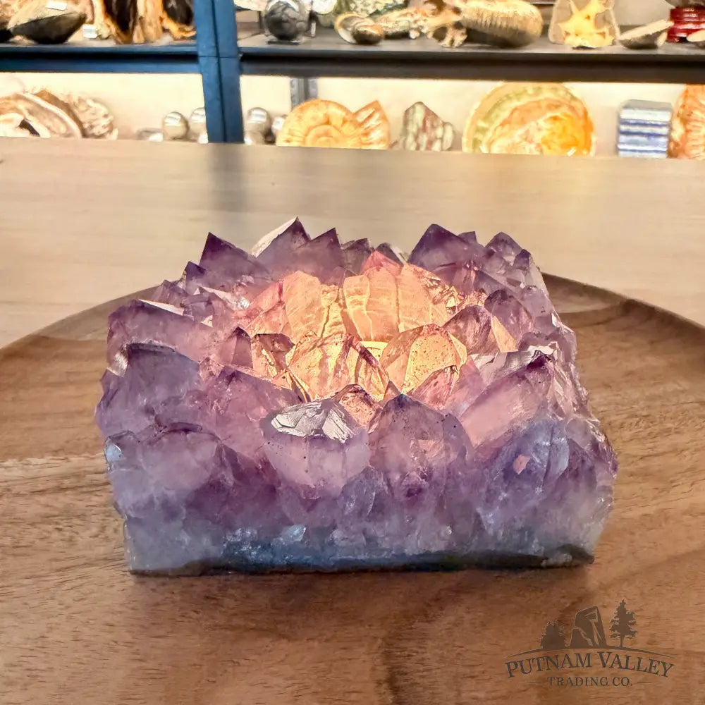 Brazilian Amethyst Candle Holder 4.56’’ - Candle Holder