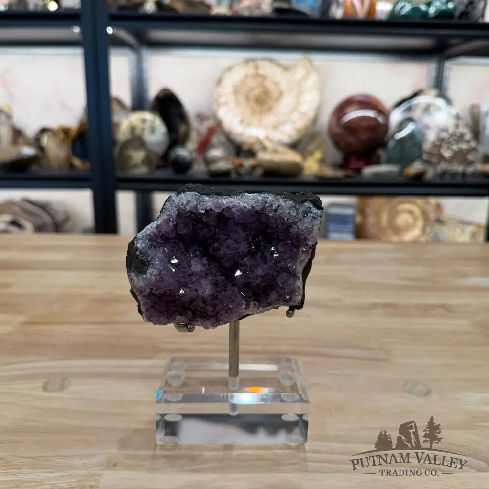 Brazilian Amethyst Cluster on Stand 5.75’’ - Accent