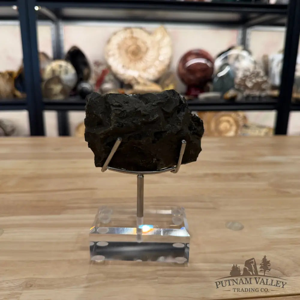 Brazilian Amethyst Cluster on Stand 5.75’’ - Accent