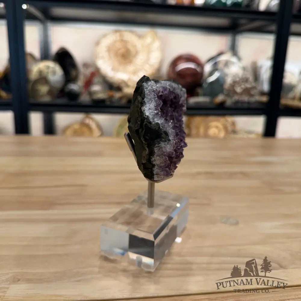 Brazilian Amethyst Cluster on Stand 5.75’’ - Accent