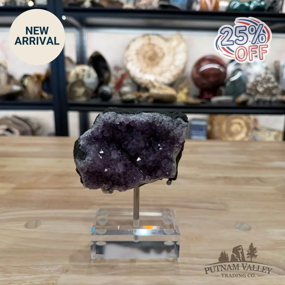 Brazilian Amethyst Cluster on Stand 5.75’’ - Accent