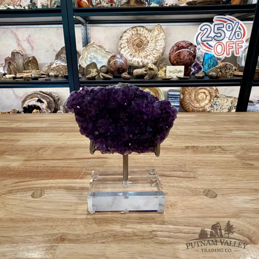 Brazilian Amethyst Cluster on Stand 6.25’’ - Accent