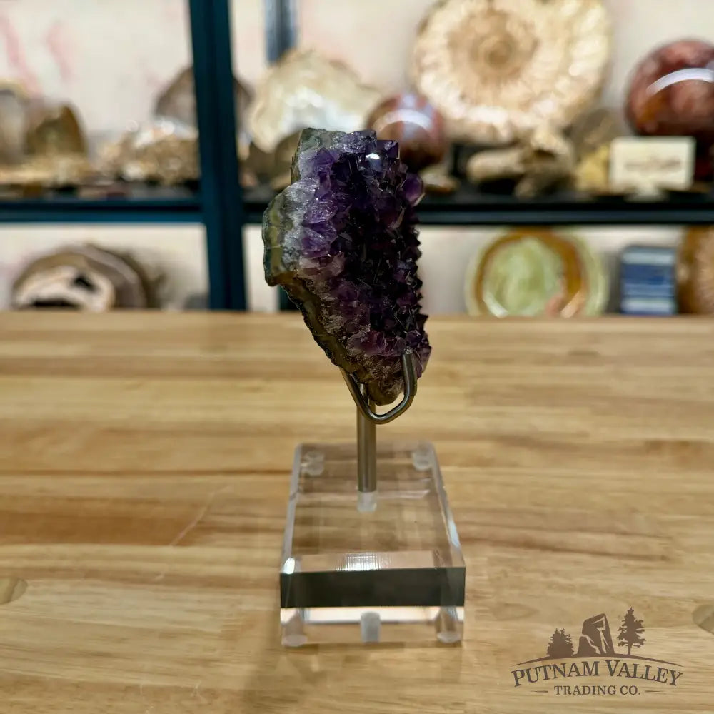 Brazilian Amethyst Cluster on Stand 6.25’’ - Accent