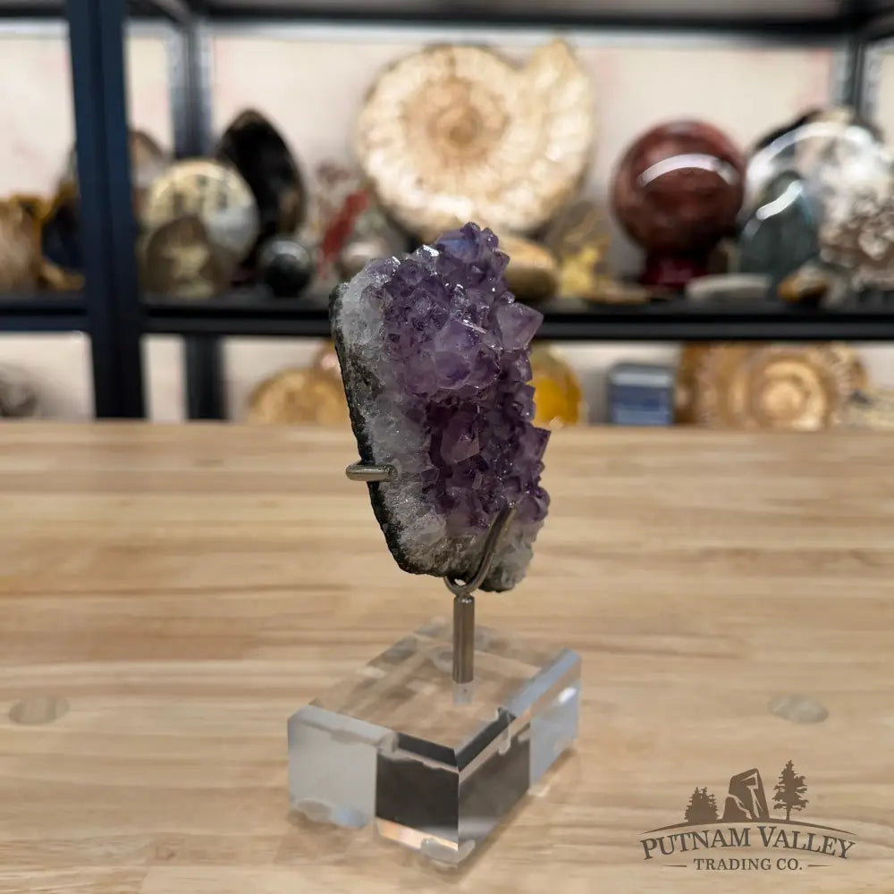 Brazilian Amethyst Cluster on Stand 6.25’’ - Accent
