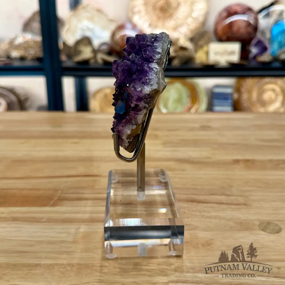 Brazilian Amethyst Cluster on Stand 6.25’’ - Accent