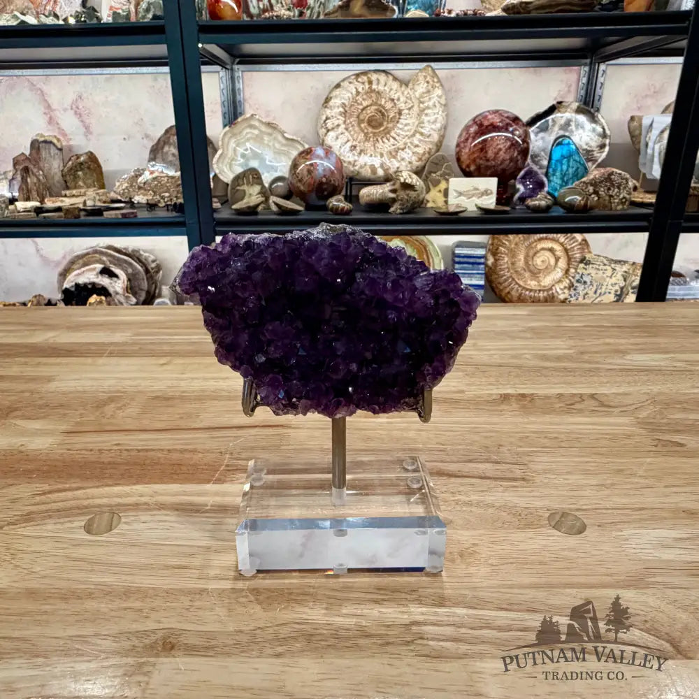 Brazilian Amethyst Cluster on Stand 6.25’’ - Accent