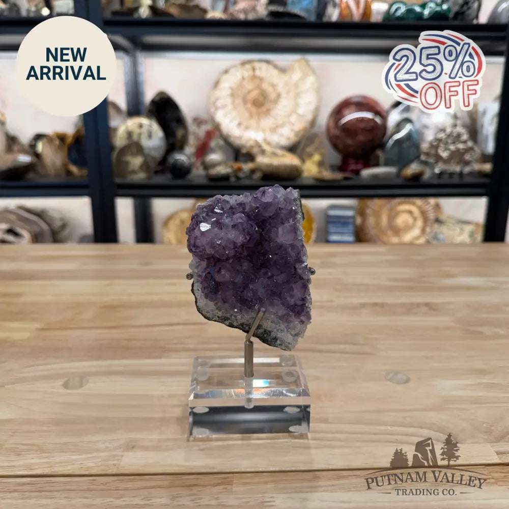 Brazilian Amethyst Cluster on Stand 6.25’’ - Accent
