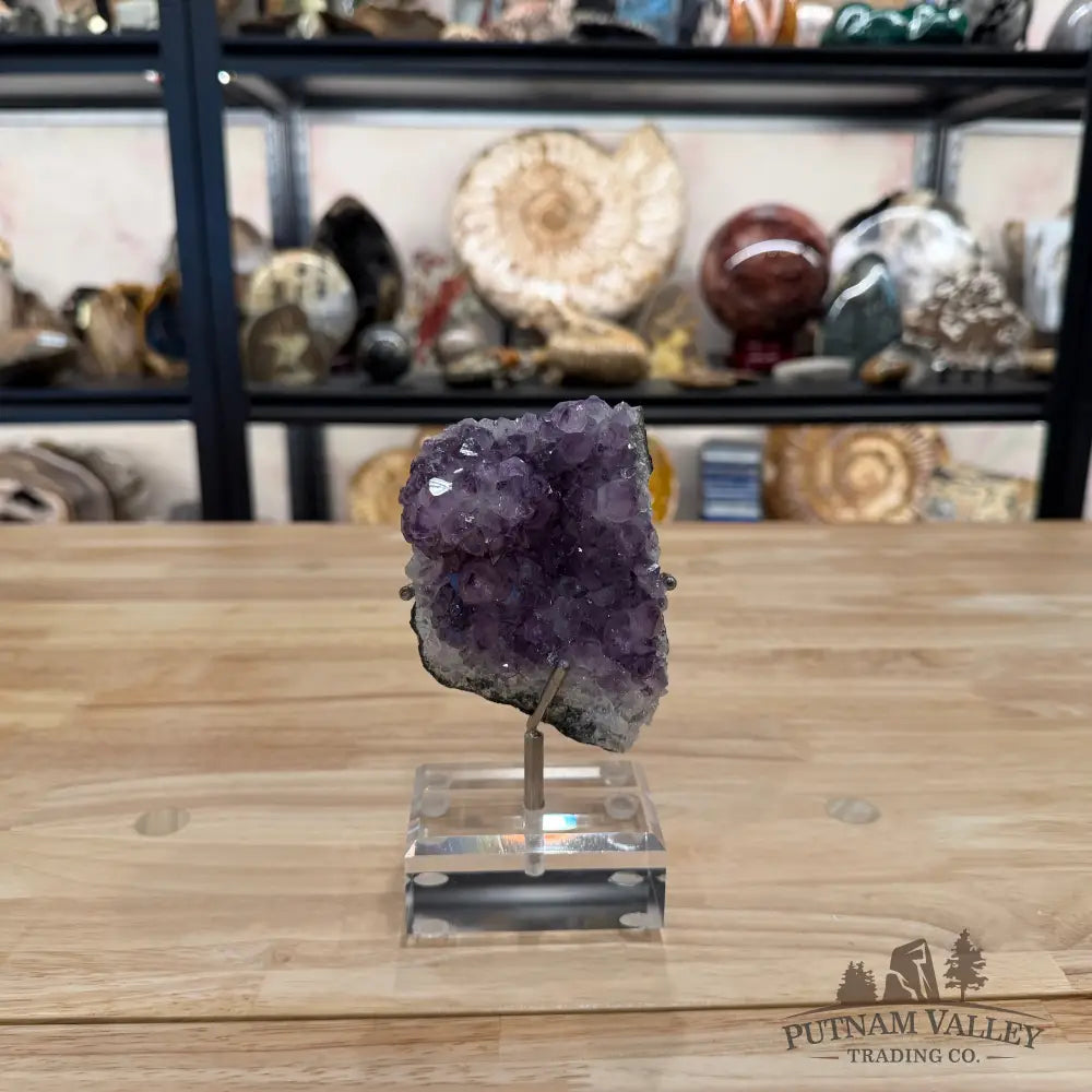 Brazilian Amethyst Cluster on Stand 6.25’’ - Accent