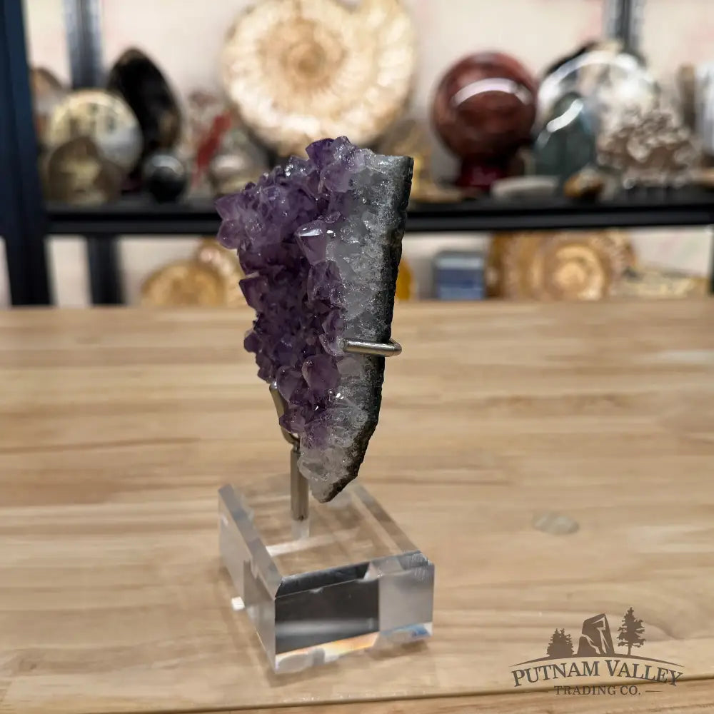 Brazilian Amethyst Cluster on Stand 6.25’’ - Accent