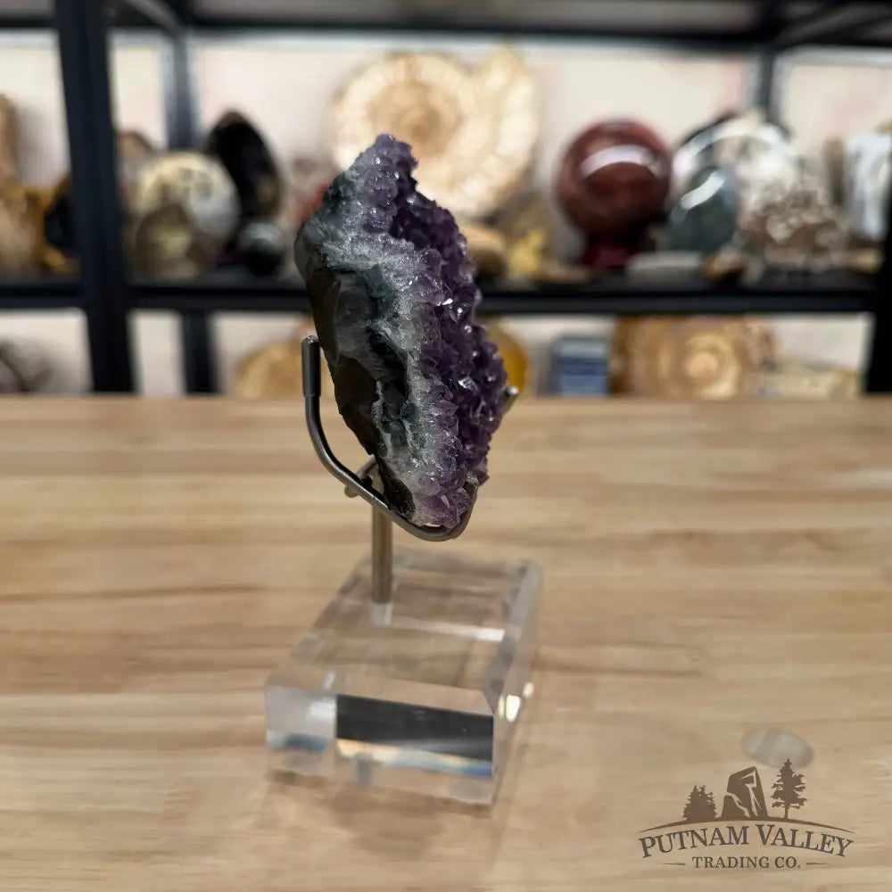 Brazilian Amethyst Cluster on Stand 6.5’’ - Accent