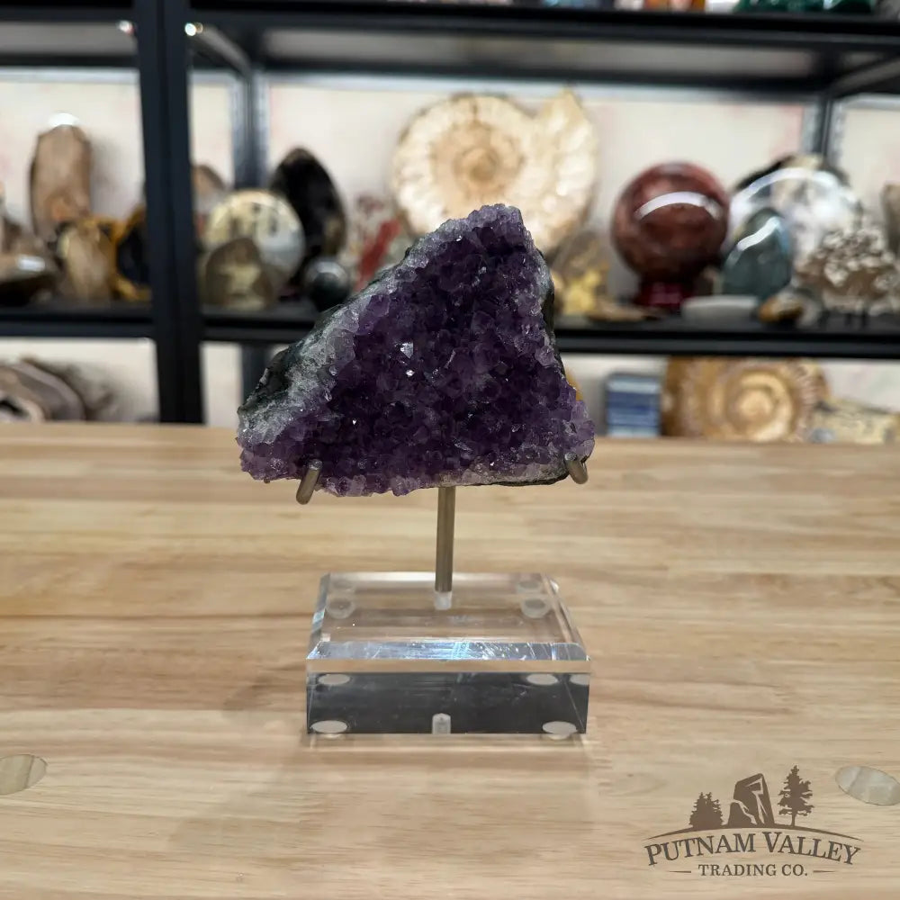 Brazilian Amethyst Cluster on Stand 6.5’’ - Accent