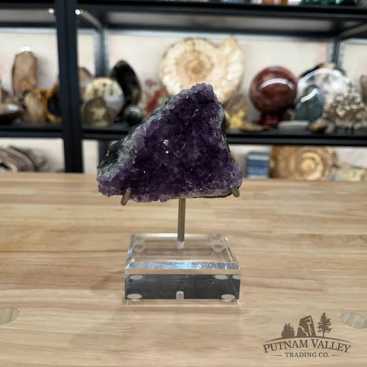 Brazilian Amethyst Cluster on Stand 6.5’’ - Accent