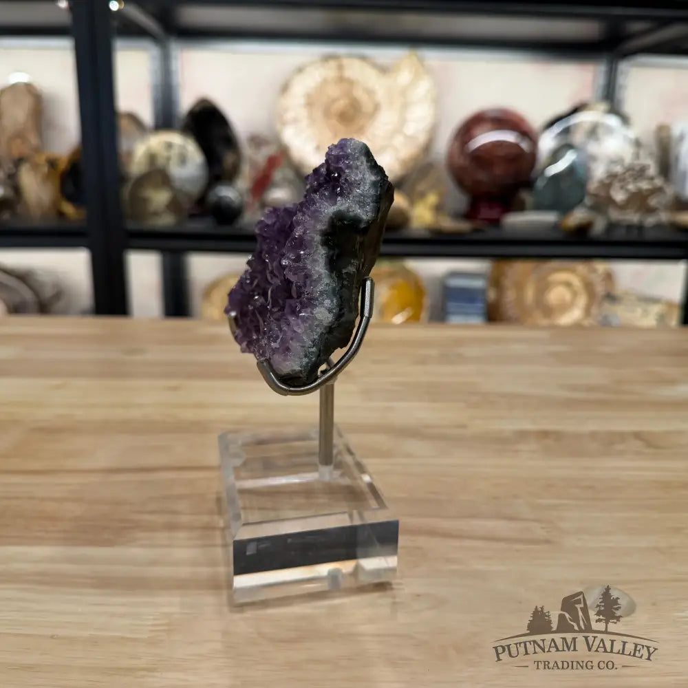 Brazilian Amethyst Cluster on Stand 6.5’’ - Accent