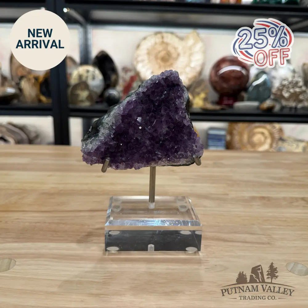 Brazilian Amethyst Cluster on Stand 6.5’’ - Accent