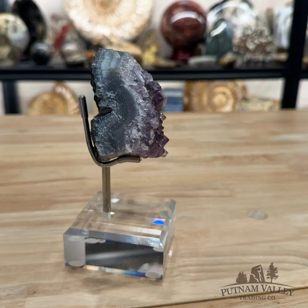 Brazilian Amethyst Cluster on Stand 6’’ - Accent
