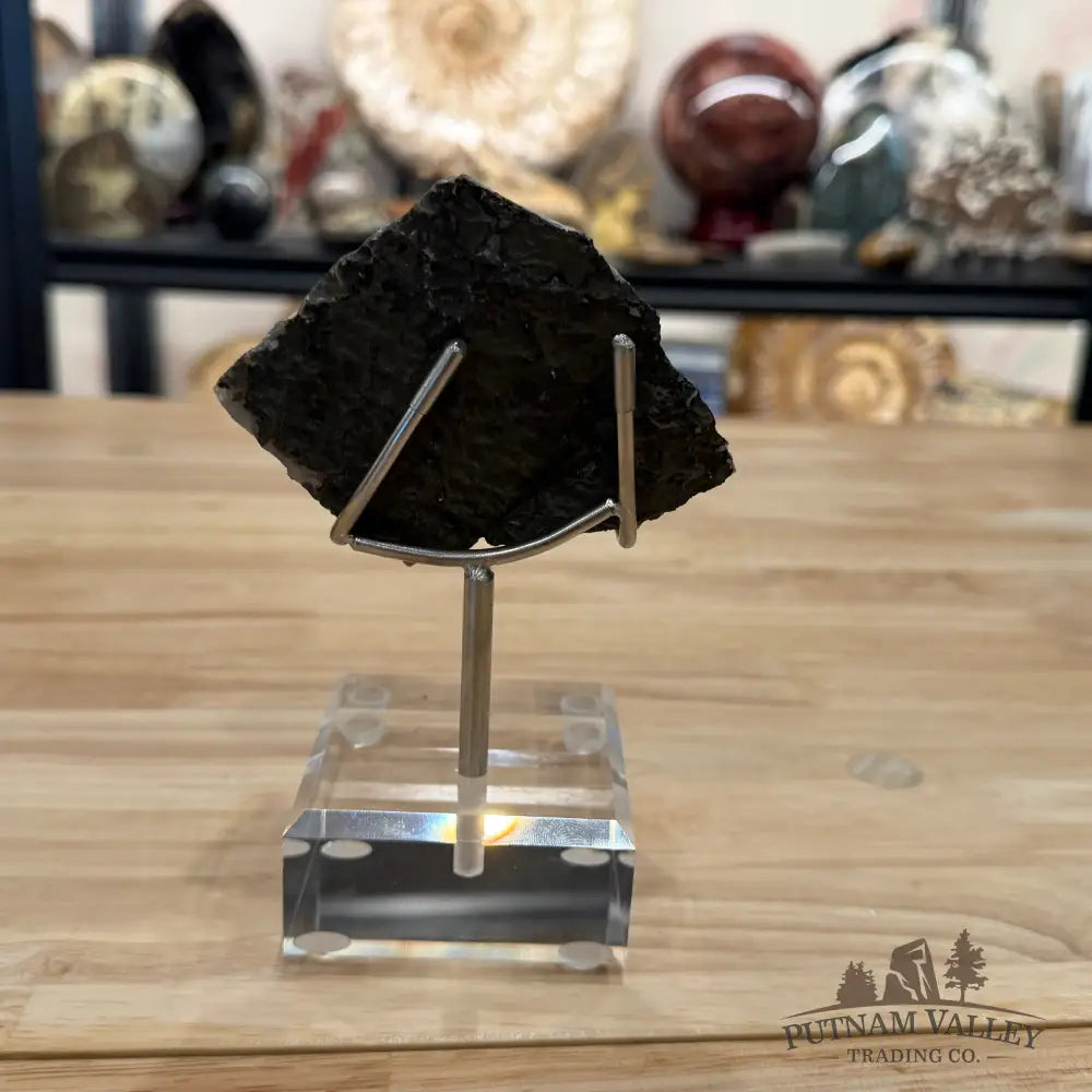 Brazilian Amethyst Cluster on Stand 6’’ - Accent