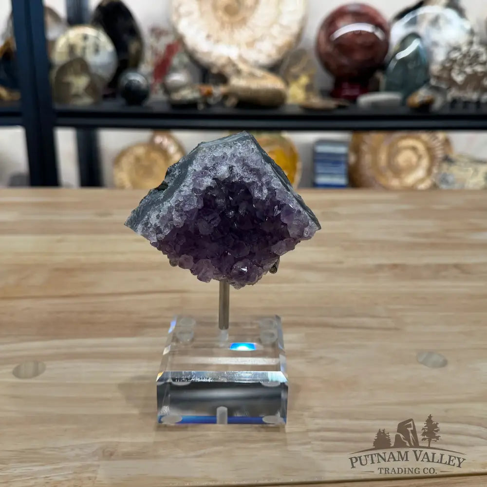 Brazilian Amethyst Cluster on Stand 6’’ - Accent