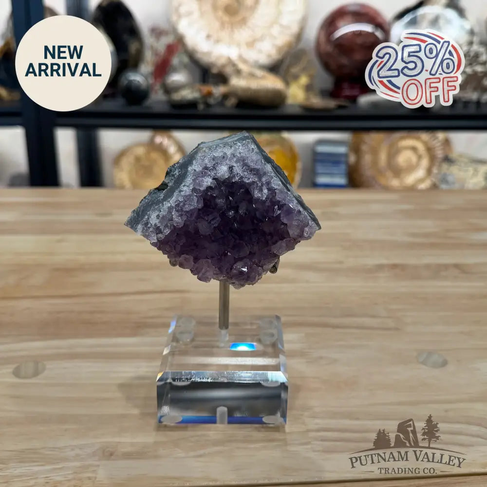 Brazilian Amethyst Cluster on Stand 6’’ - Accent