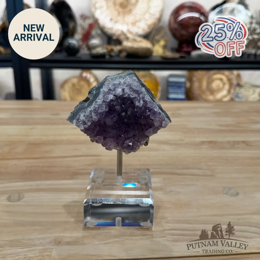 Brazilian Amethyst Cluster on Stand 6’’ - Accent