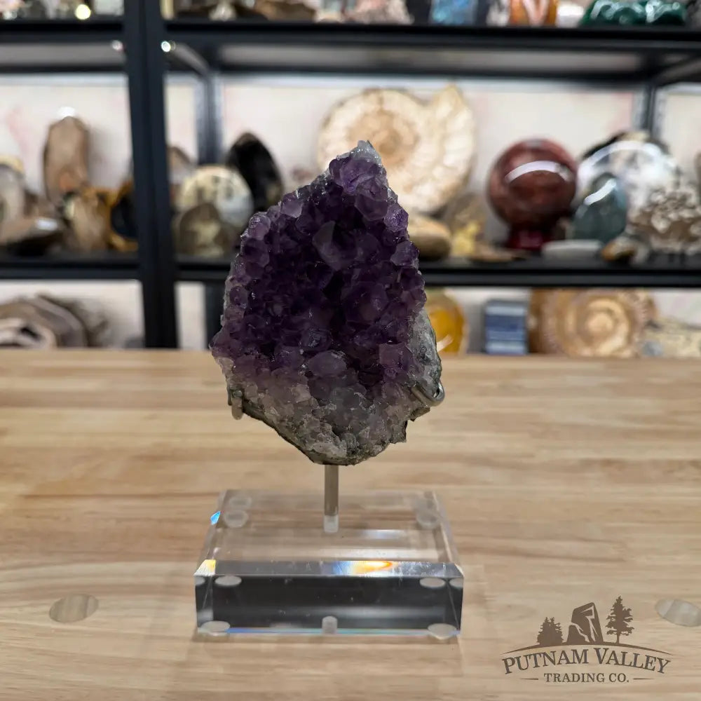 Brazilian Amethyst Cluster on Stand 7.5’’ - Accent