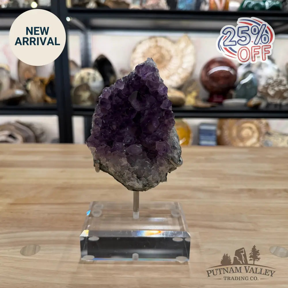 Brazilian Amethyst Cluster on Stand 7.5’’ - Accent
