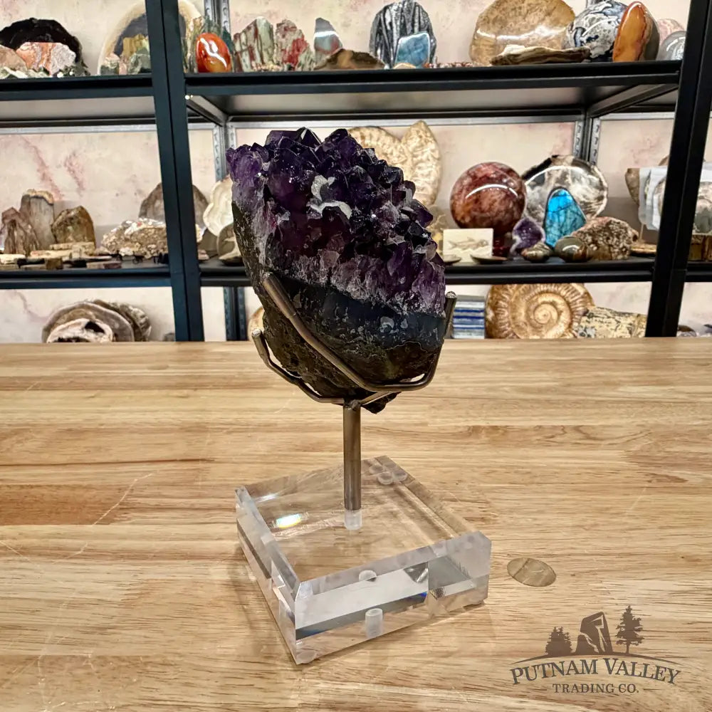 Brazilian Amethyst Cluster on Stand 7’’ - Accent
