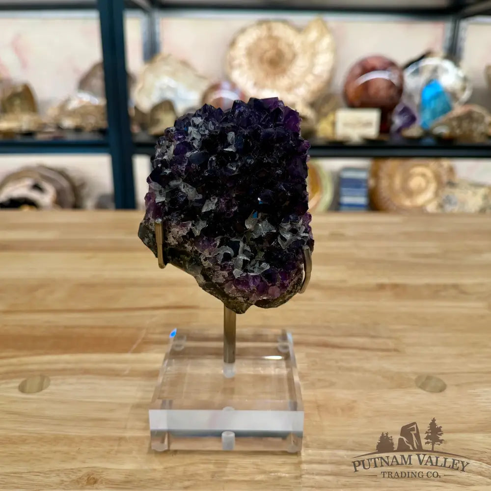 Brazilian Amethyst Cluster on Stand 7’’ - Accent