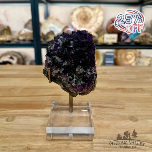 Brazilian Amethyst Cluster on Stand 7’’ - Accent