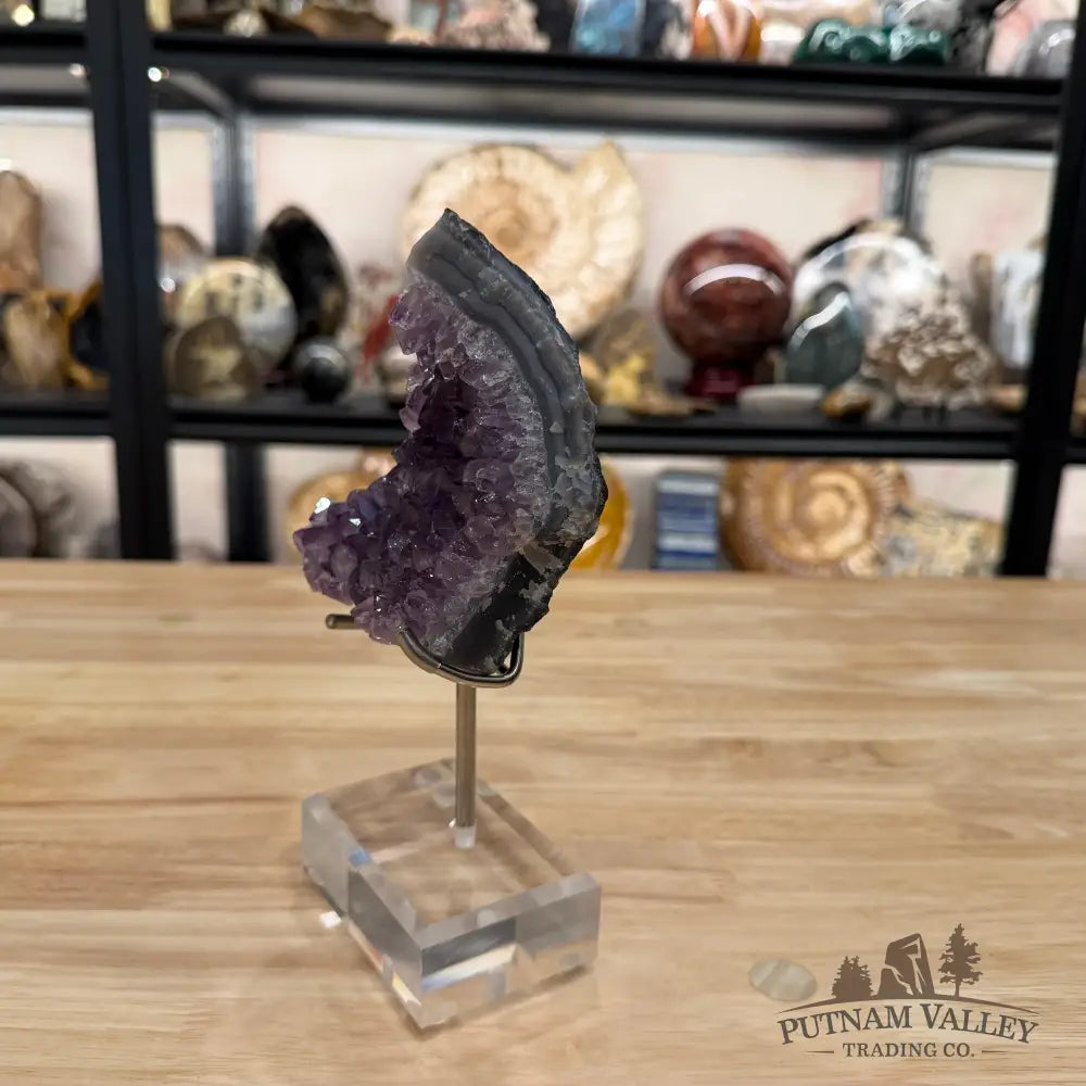 Brazilian Amethyst Cluster on Stand 8.1’’ - Accent