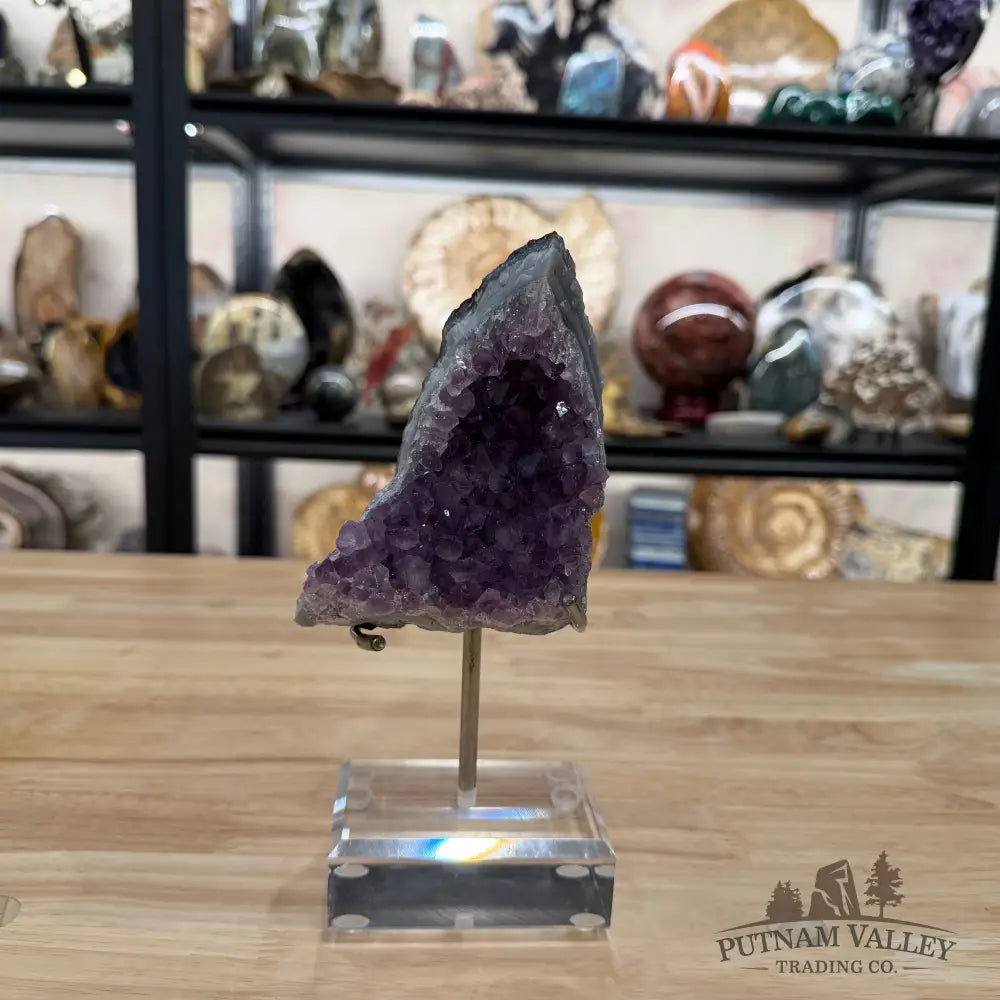Brazilian Amethyst Cluster on Stand 8.1’’ - Accent