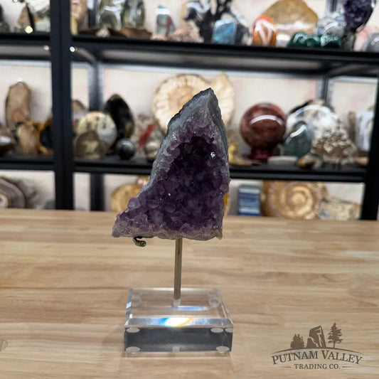 Brazilian Amethyst Cluster on Stand 8.1’’ - Accent