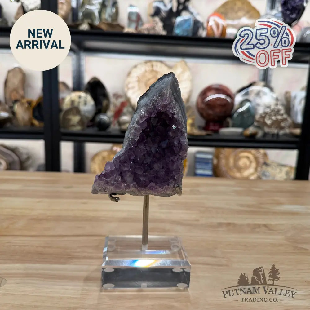 Brazilian Amethyst Cluster on Stand 8.1’’ - Accent