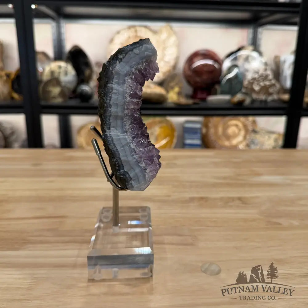 Brazilian Amethyst Cluster on Stand 8.1’’ - Accent