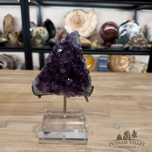 Brazilian Amethyst Cluster on Stand 8.25’’ - Accent