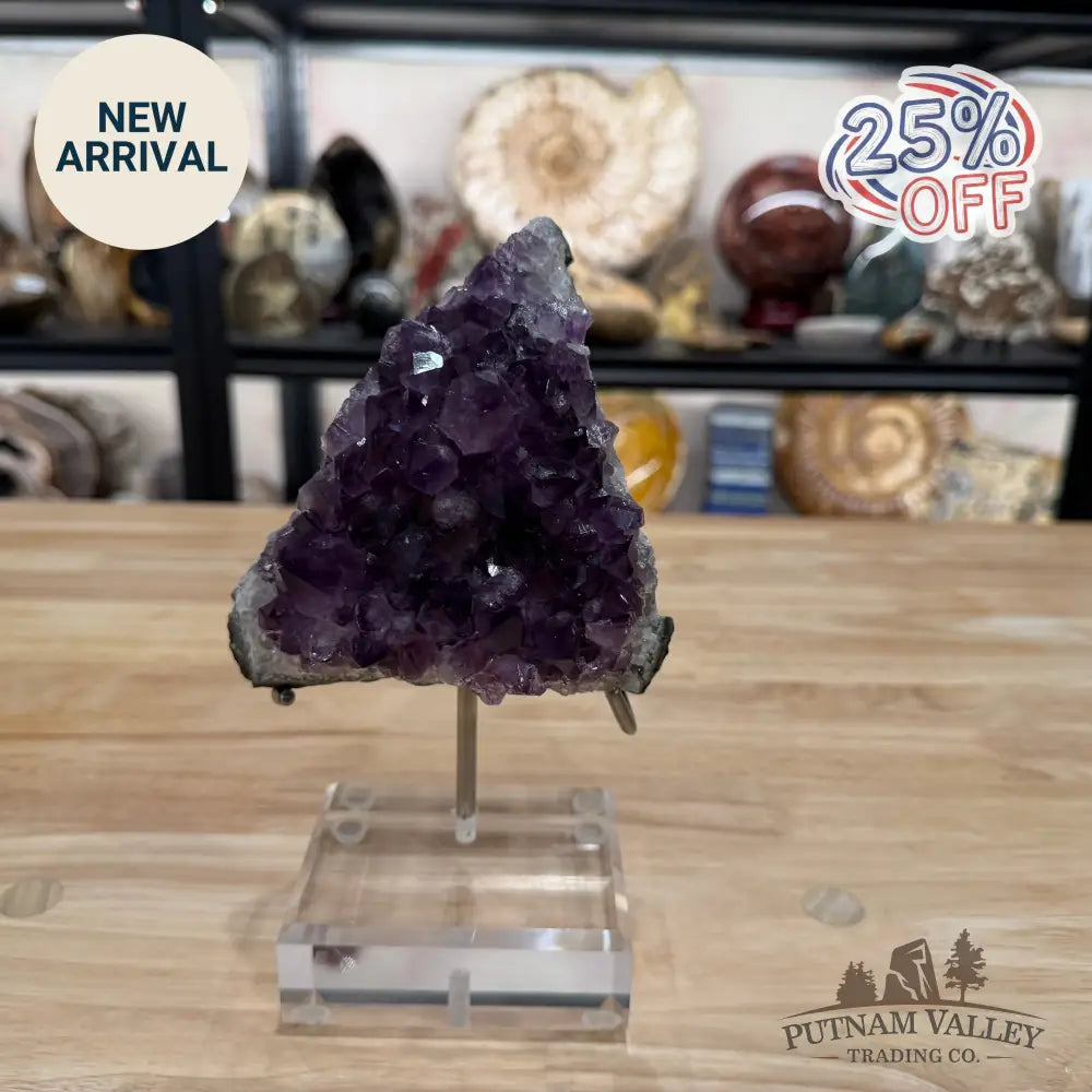 Brazilian Amethyst Cluster on Stand 8.25’’ - Accent