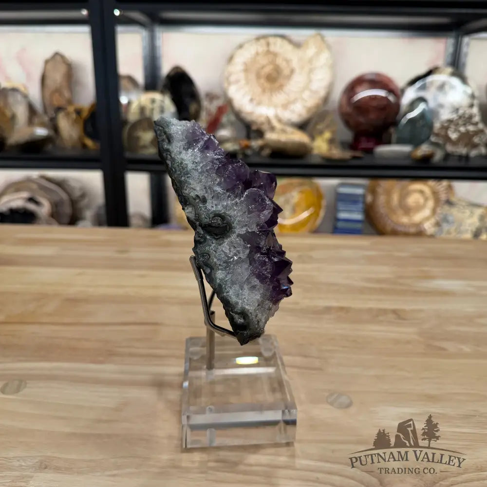 Brazilian Amethyst Cluster on Stand 8.25’’ - Accent