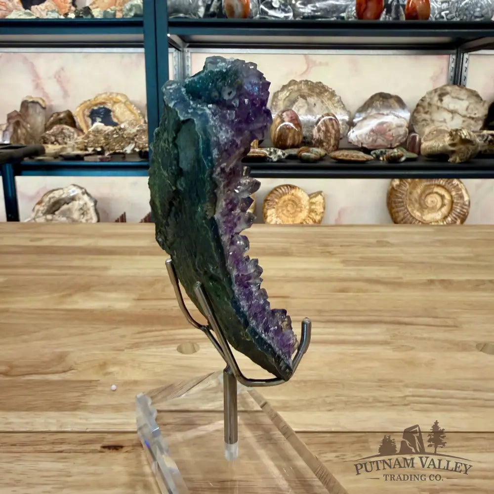Brazilian Amethyst Cluster on Stand 8.5’’ Accent