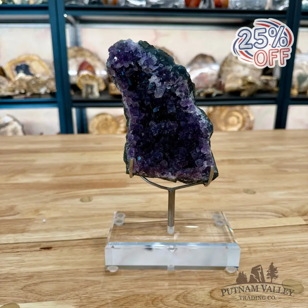Brazilian Amethyst Cluster on Stand 8.5’’ Accent