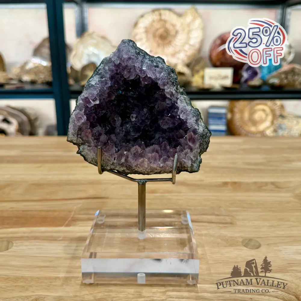 Brazilian Amethyst Cluster on Stand 8’’ - Accent
