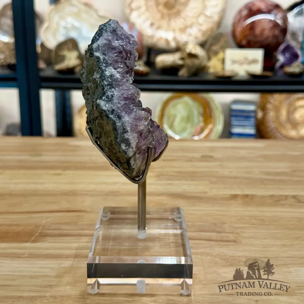 Brazilian Amethyst Cluster on Stand 8’’ - Accent