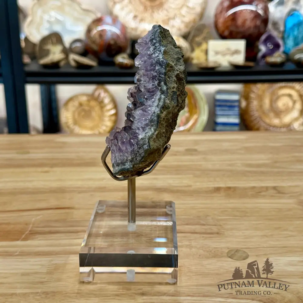 Brazilian Amethyst Cluster on Stand 8’’ - Accent