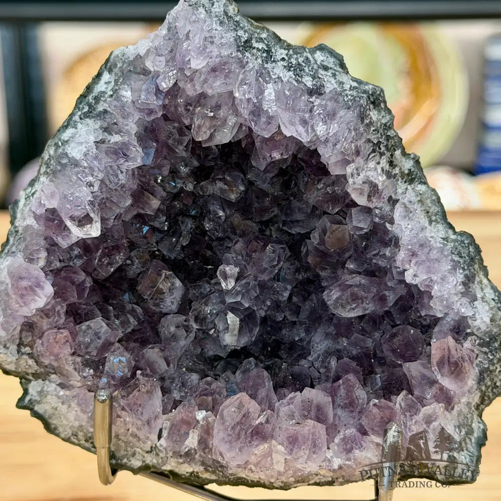 Brazilian Amethyst Cluster on Stand 8’’ - Accent