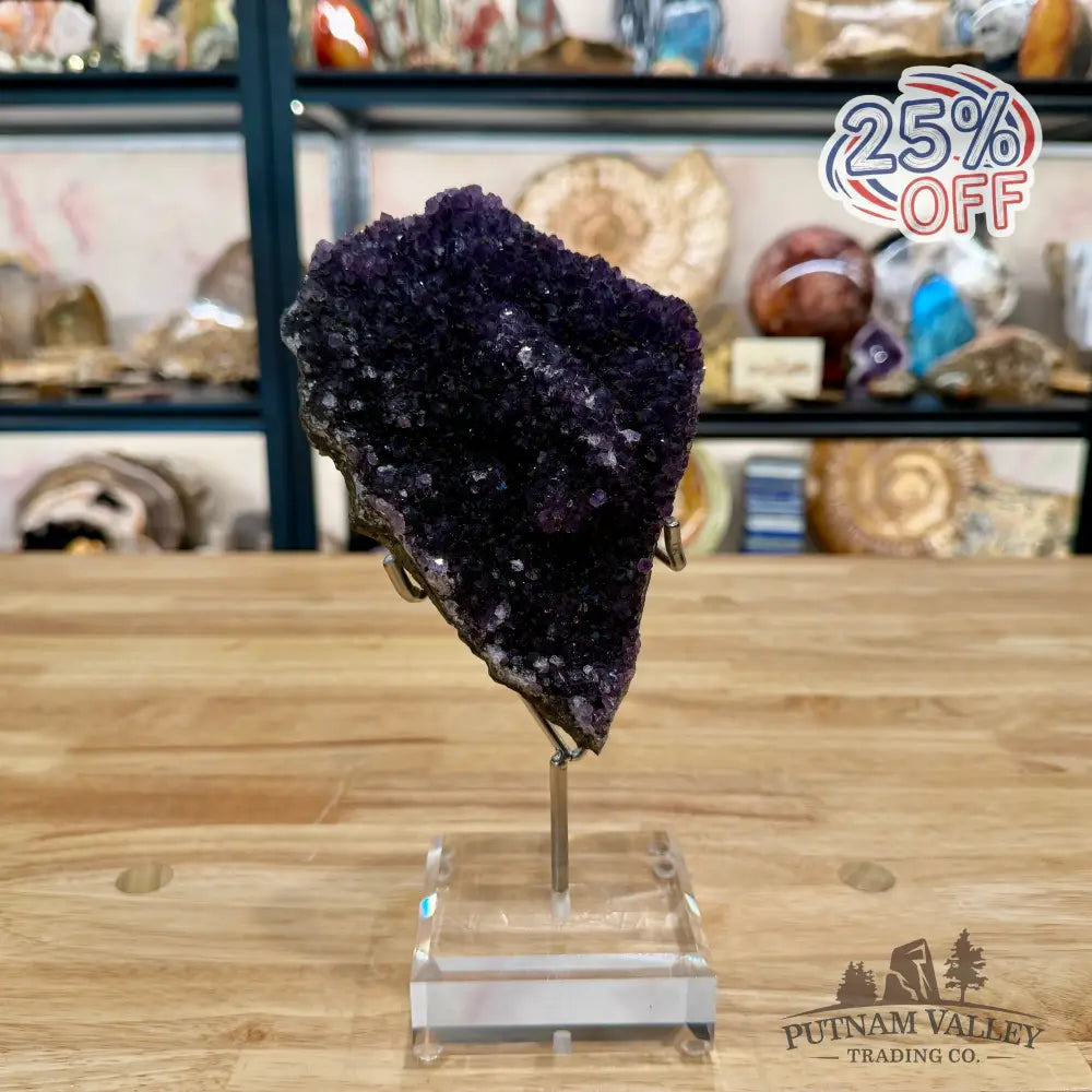 Brazilian Amethyst Cluster on Stand 9’’ - Accent