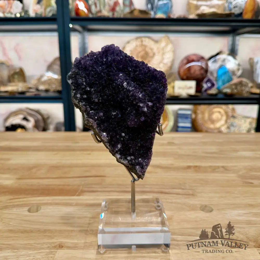 Brazilian Amethyst Cluster on Stand 9’’ - Accent