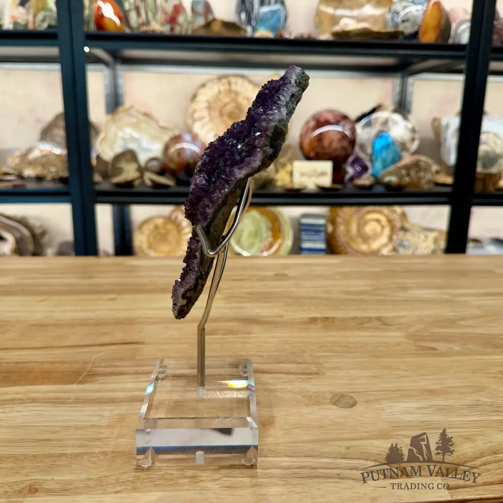 Brazilian Amethyst Cluster on Stand 9’’ - Accent