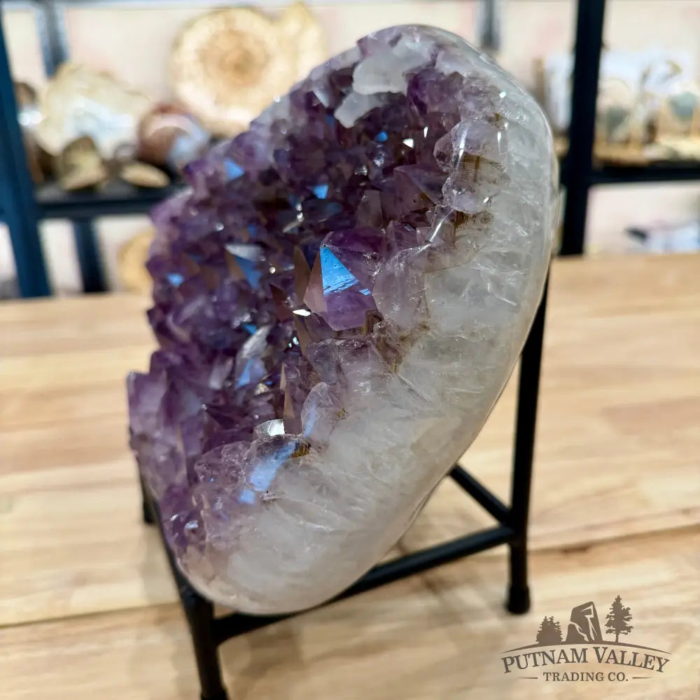 Brazilian Amethyst Geode 11.8’’ + Stand - Accent