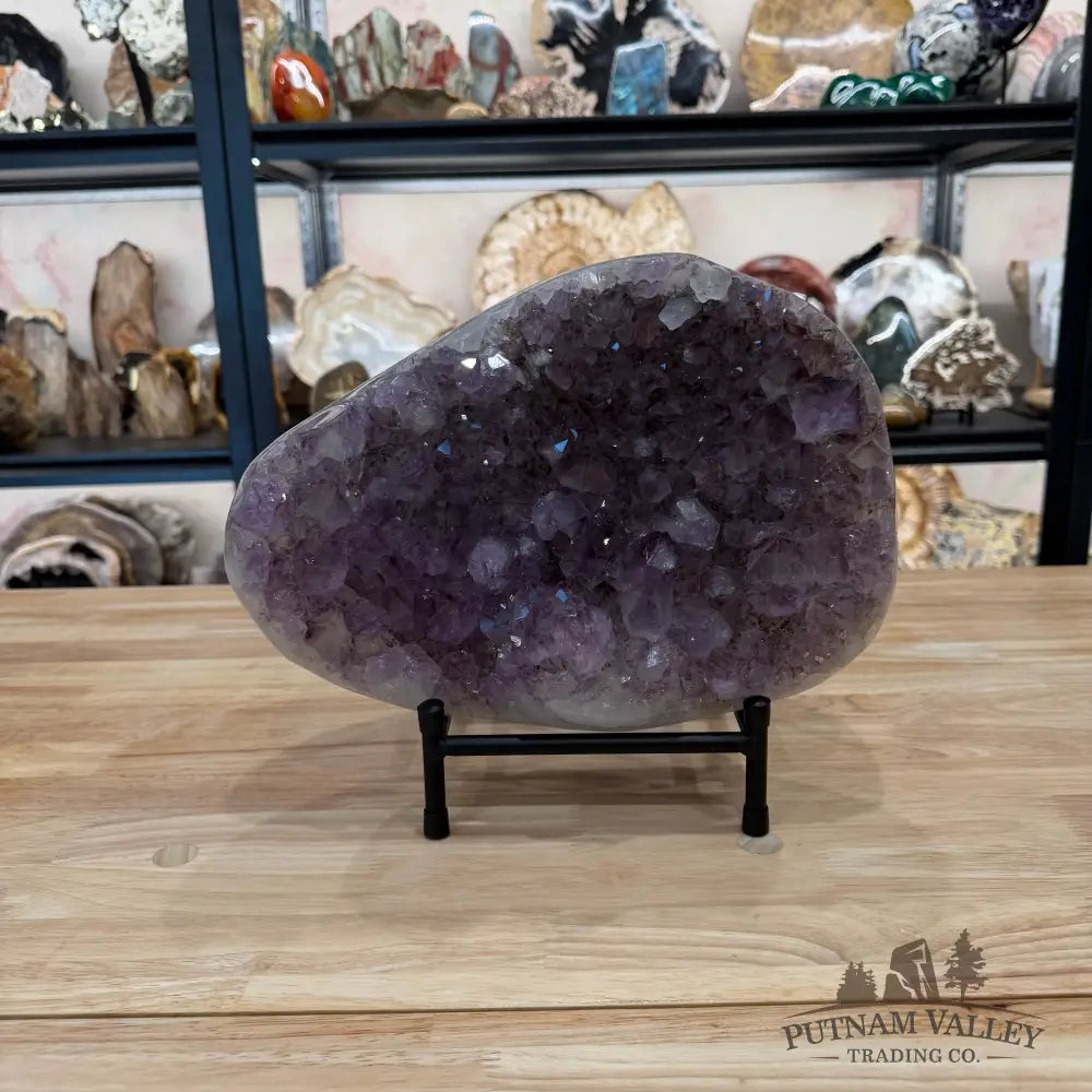 Brazilian Amethyst Geode 11.8’’ + Stand - Accent