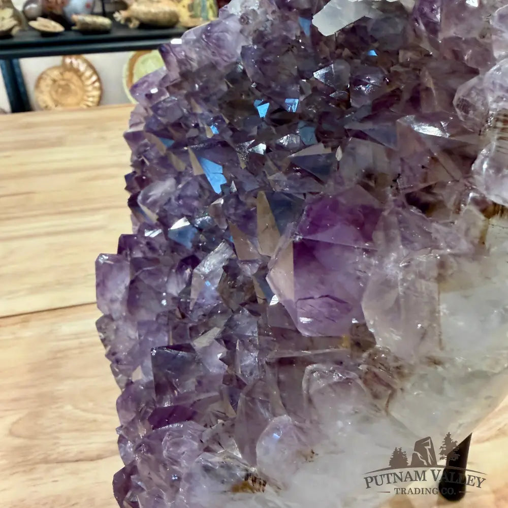 Brazilian Amethyst Geode 11.8’’ + Stand - Accent