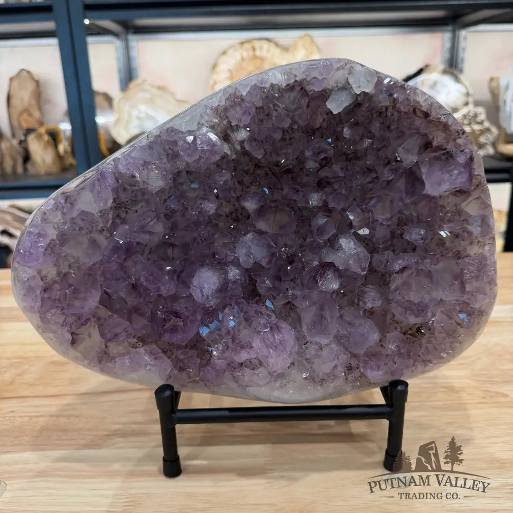 Brazilian Amethyst Geode 11.8’’ + Stand - Accent